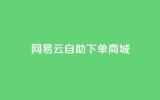网易云24h自助下单商城,君泽货源站自助下单 - 熊猫业务下单平台 - 168卡盟网