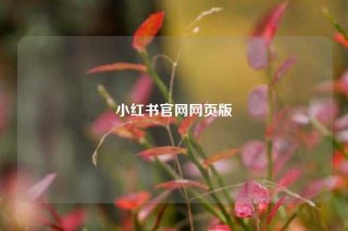 小红书官网网页版