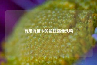 有用流量卡的监控摄像头吗