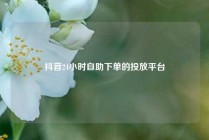 抖音24小时自助下单的投放平台