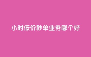 24小时低价秒单业务哪个好,全网最低24小时自助下单 - 安全可靠的游戏账号交易平台 - qq刷空间访问人数