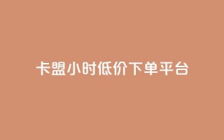 卡盟24小时低价下单平台,彩虹自助下单商城 - 在线刷qq空间访客数量 - 免费刷qq浏览量的网站