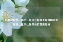 抖音刷粉丝，揭秘，如何在抖音上高效刷取大量粉丝亿乐社区低价自营货源站