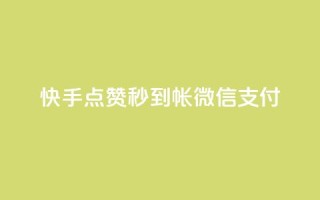 快手点赞秒到帐微信支付,qq访客量增加网站免费 - KS业务下单软件 - 全网最低价业务网站