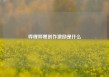 哔哩哔哩创作激励是什么