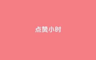 dy点赞24小时 - 24小时内点赞数据翻倍，你需要知道的是什么？~