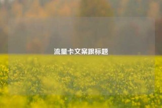 流量卡文案跟标题