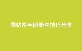网站快手刷粉丝技巧分享