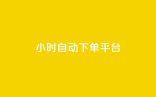 dy24小时自动下单平台 - 24小时自动下单平台DY全新体验指南！