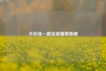 小区统一建流浪猫窝新闻