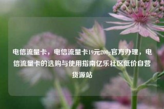 电信流量卡，电信流量卡19元200g官方办理，电信流量卡的选购与使用指南亿乐社区低价自营货源站