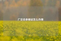 广交会参观证怎么办理