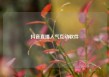 抖音直播人气互动软件