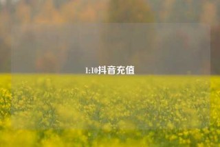 1:10抖音充值
