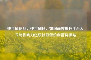 快手刷粉丝，快手刷粉，如何高效提升平台人气与影响力亿乐社区低价自营货源站