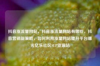 抖音涨流量网站，抖音涨流量网站有哪些，抖音营销新策略，如何利用涨量网站提升平台曝光亿乐社区SUP货源站