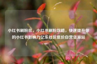 小红书刷粉丝，小红书刷粉攻略，快速提升你的小红书影响力亿乐社区低价自营货源站