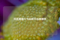 抖音直播人气自助平台有哪些