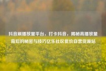 抖音刷播放量平台，打卡抖音，揭秘高播放量背后的秘密与技巧亿乐社区低价自营货源站