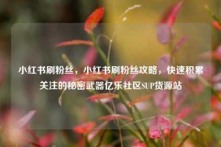 小红书刷粉丝，小红书刷粉丝攻略，快速积累关注的秘密武器亿乐社区SUP货源站
