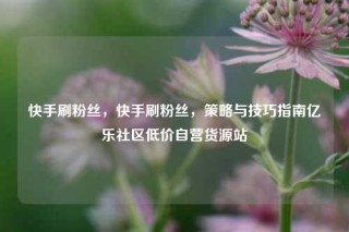 快手刷粉丝，快手刷粉丝，策略与技巧指南亿乐社区低价自营货源站