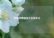 哔哩哔哩超级大会员年卡