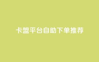 卡盟平台自助下单推荐 - 卡盟平台自助下单攻略与推荐~