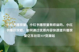 小红书播放量，小红书播放量有收益吗，小红书爆款攻略，如何通过优质内容快速提升播放量亿乐社区SUP货源站