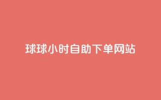 球球24小时自助下单网站 - 全天候订购球球服务平台~