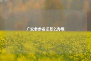 广交会参观证怎么办理