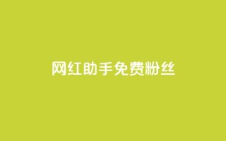 网红助手免费粉丝,小红书500粉购买 - douyingcom充值 - 粉丝是怎么涨起来的