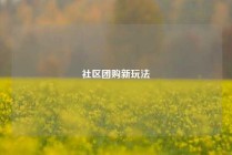 社区团购新玩法