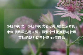 小红书阅读，小红书阅读笔记满15篇怎么弄的，小红书阅读热潮来袭，探索个性化推荐与社区互动的魅力亿乐社区SUP货源站