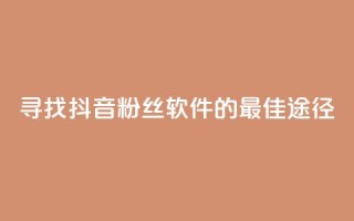 寻找抖音粉丝软件的最佳途径