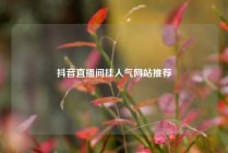 抖音直播间挂人气网站推荐