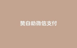 Ks赞自助微信支付 - 使用微信支付的Ks赞自助服务，简单方便！~