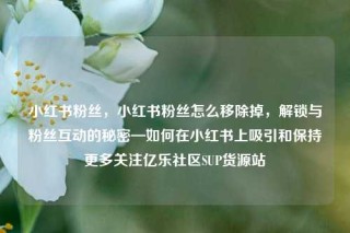 小红书粉丝，小红书粉丝怎么移除掉，解锁与粉丝互动的秘密—如何在小红书上吸引和保持更多关注亿乐社区SUP货源站