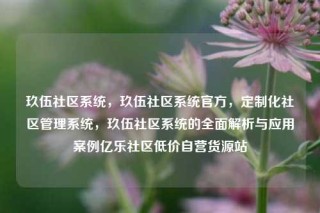 玖伍社区系统，玖伍社区系统官方，定制化社区管理系统，玖伍社区系统的全面解析与应用案例亿乐社区低价自营货源站