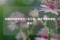 卓朗科技索赔提交一批立案，退市不影响索赔事宜！