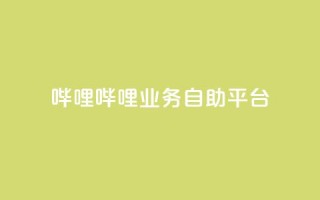 哔哩哔哩业务自助平台,快手平台业务网站 - 24自助下单服务平台便宜 - 斗音刷讚在线24