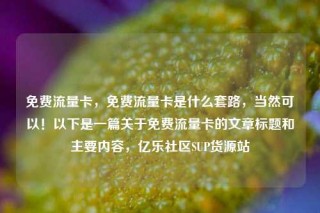 免费流量卡，免费流量卡是什么套路，当然可以！以下是一篇关于免费流量卡的文章标题和主要内容，亿乐社区SUP货源站