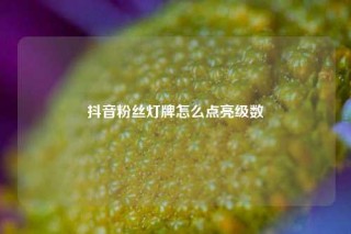 抖音粉丝灯牌怎么点亮级数