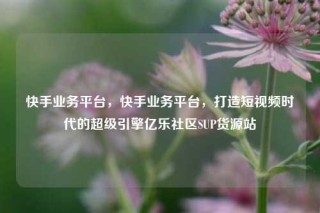 快手业务平台，快手业务平台，打造短视频时代的超级引擎亿乐社区SUP货源站