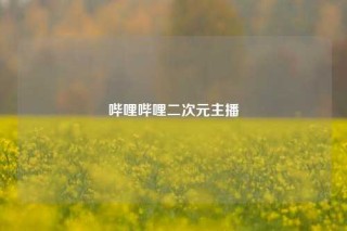 哔哩哔哩二次元主播