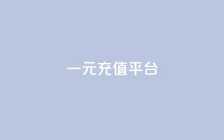 一元充值平台,秒钻卡盟在线自助下单 - ks一键取赞下载 - 网站刷快手一