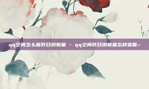 qq空间怎么看昨日浏览量 - qq空间昨日浏览量怎样查看~  第1张
