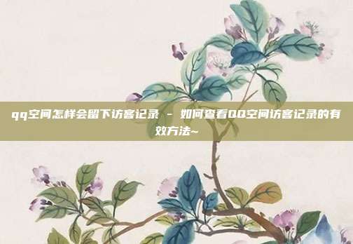 qq空间怎样会留下访客记录 - 如何查看QQ空间访客记录的有效方法~  第1张