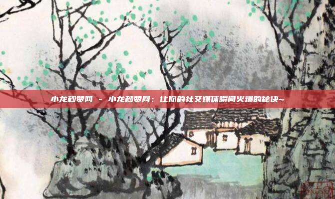 小龙秒赞网 - 小龙秒赞网：让你的社交媒体瞬间火爆的秘诀~  第1张