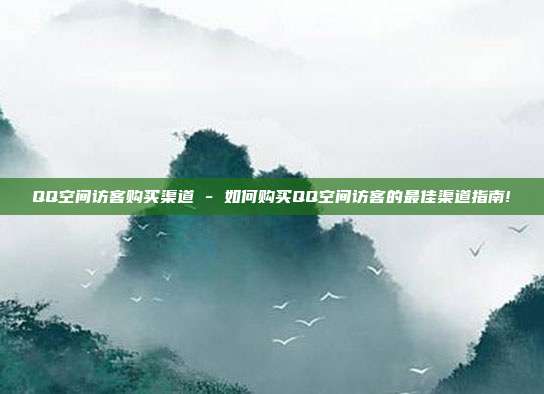 QQ空间访客购买渠道 - 如何购买QQ空间访客的最佳渠道指南!  第1张