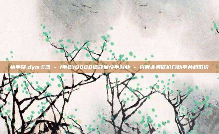 快手赞,dym卡盟 - 1毛钱10000播放量快手创业 抖音业务低价自助平台超低价  第1张